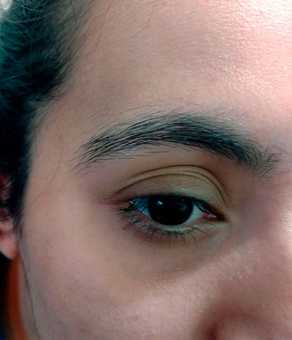 Perfilado de Cejas
